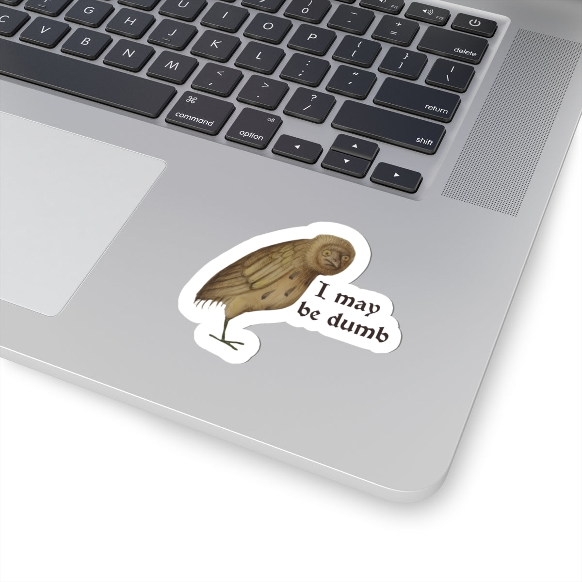 I May Be Dumb Sticker