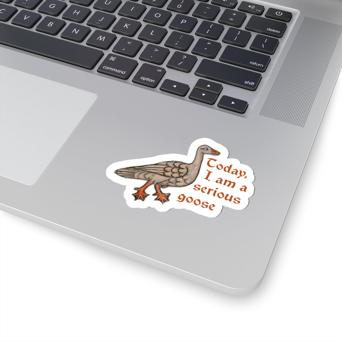 Serious Goose Sticker